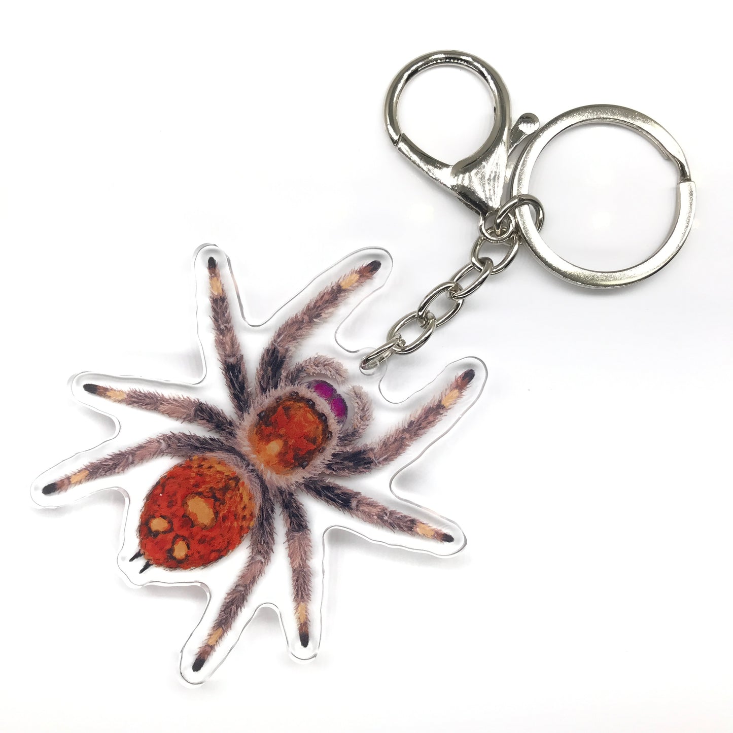 Regal Jumping Spider, Phidippus Regis (Female) Acrylic Keychain