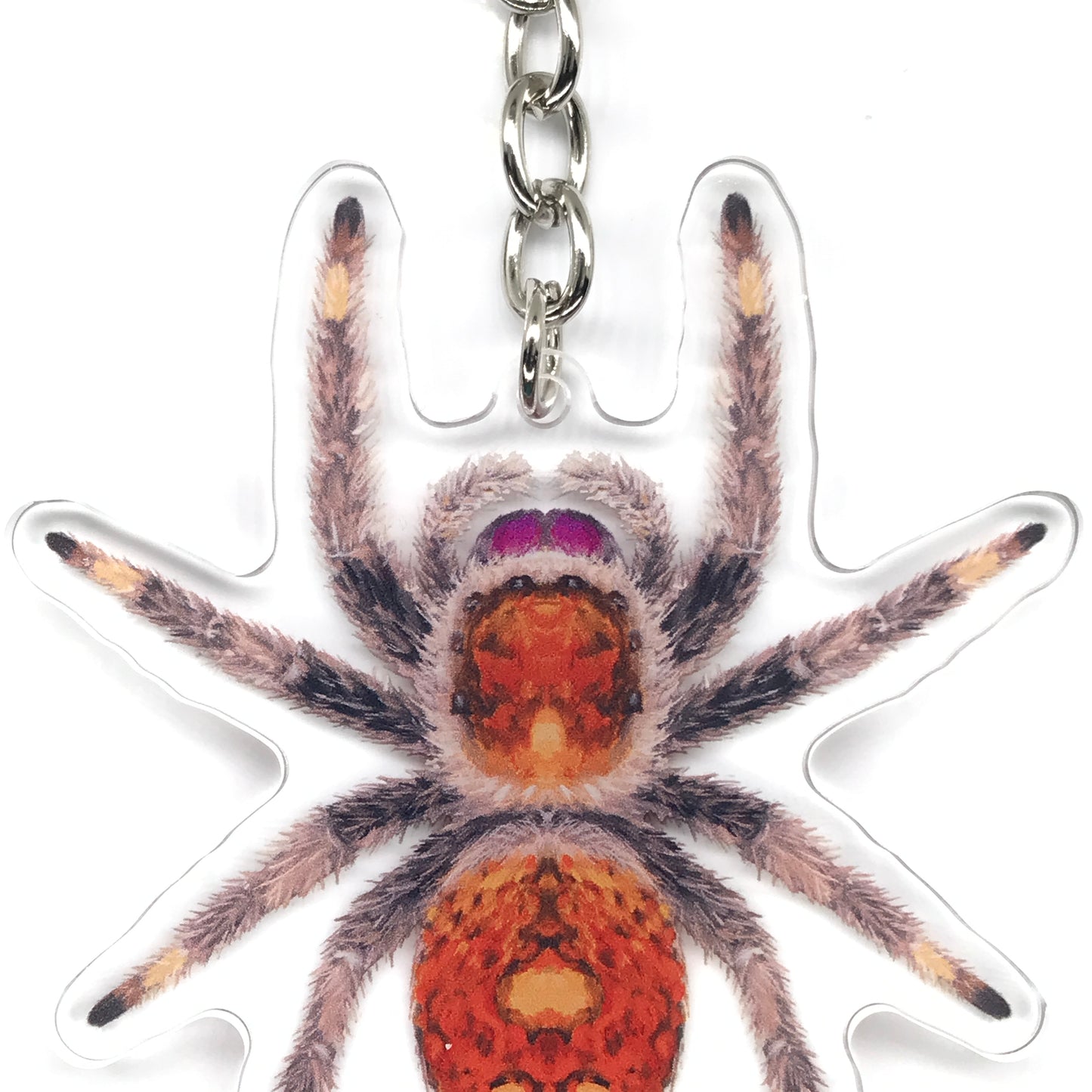 Regal Jumping Spider, Phidippus Regis (Female) Acrylic Keychain