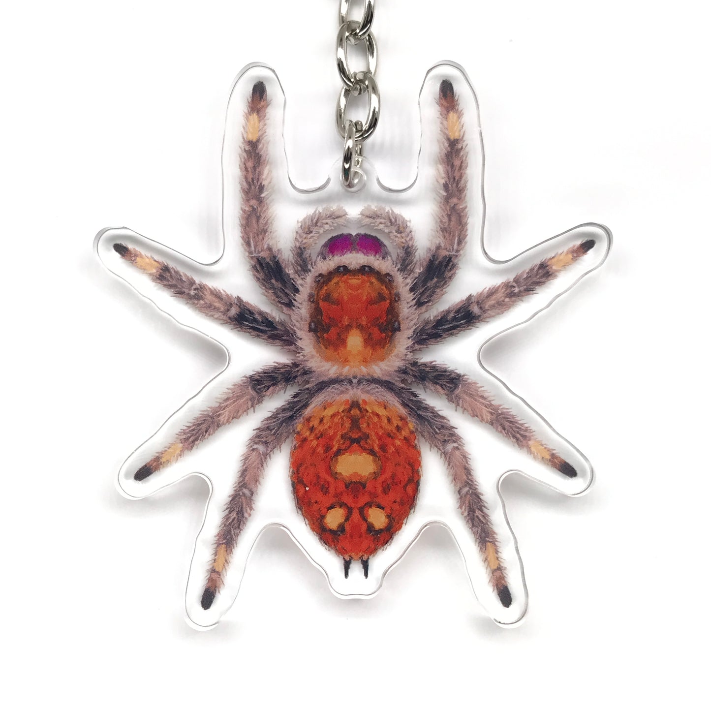 Regal Jumping Spider, Phidippus Regis (Female) Acrylic Keychain
