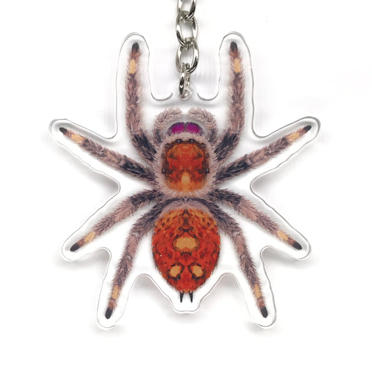 Regal Jumping Spider, Phidippus Regis (Female) Acrylic Keychain