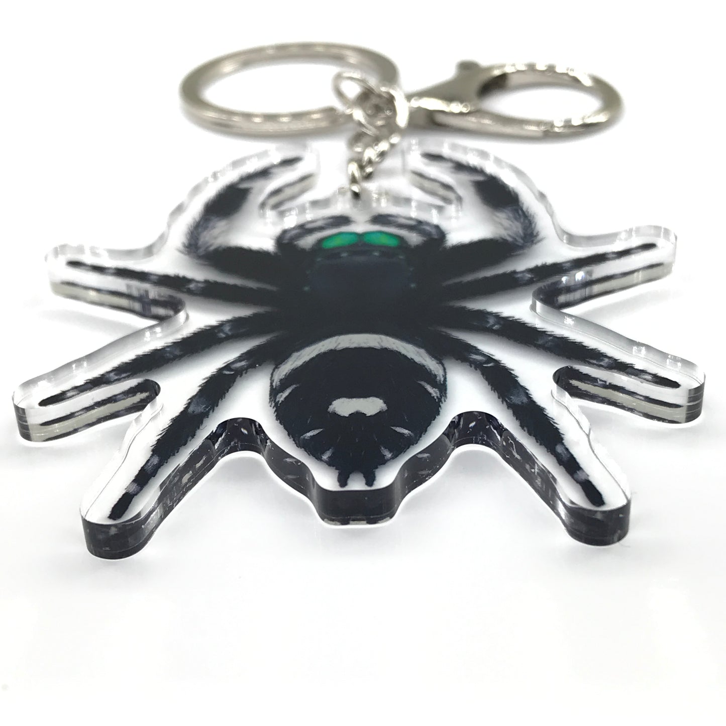 Regal Jumping Spider, Phidippus Regis (Male) Acrylic Keychain