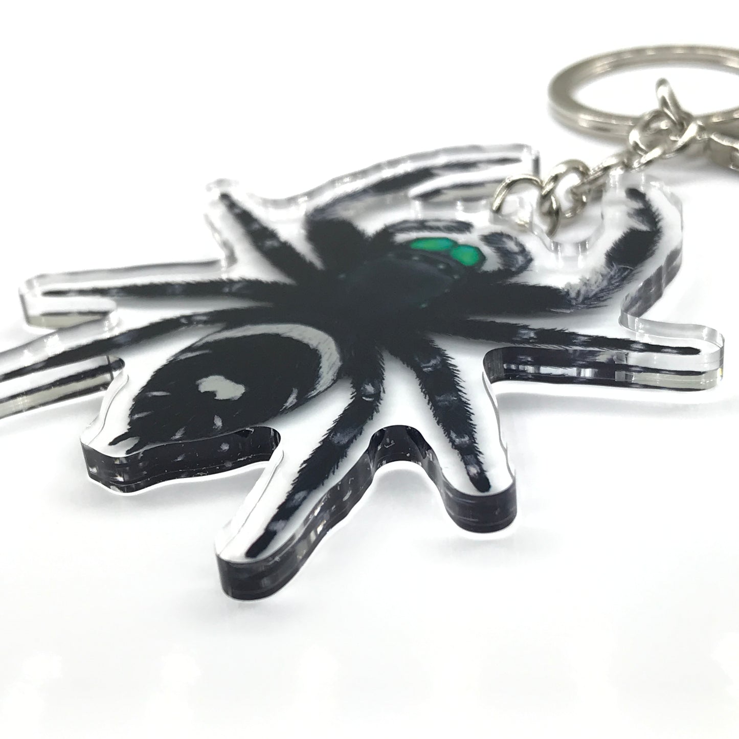 Regal Jumping Spider, Phidippus Regis (Male) Acrylic Keychain