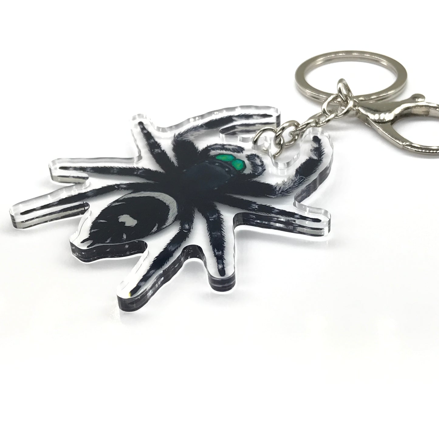 Regal Jumping Spider, Phidippus Regis (Male) Acrylic Keychain
