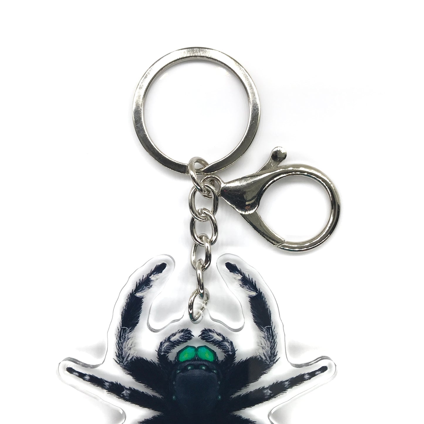 Regal Jumping Spider, Phidippus Regis (Male) Acrylic Keychain