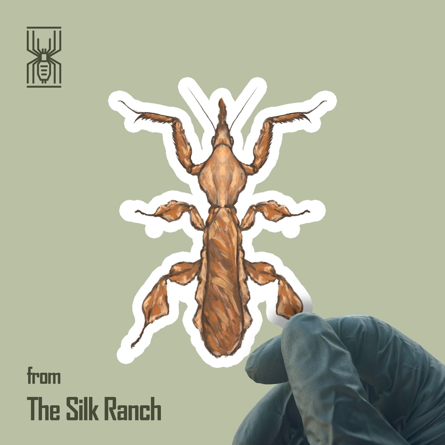 Ghost Mantis Sticker, Phyllocrania Paradoxa Waterproof Vinyl Sticker