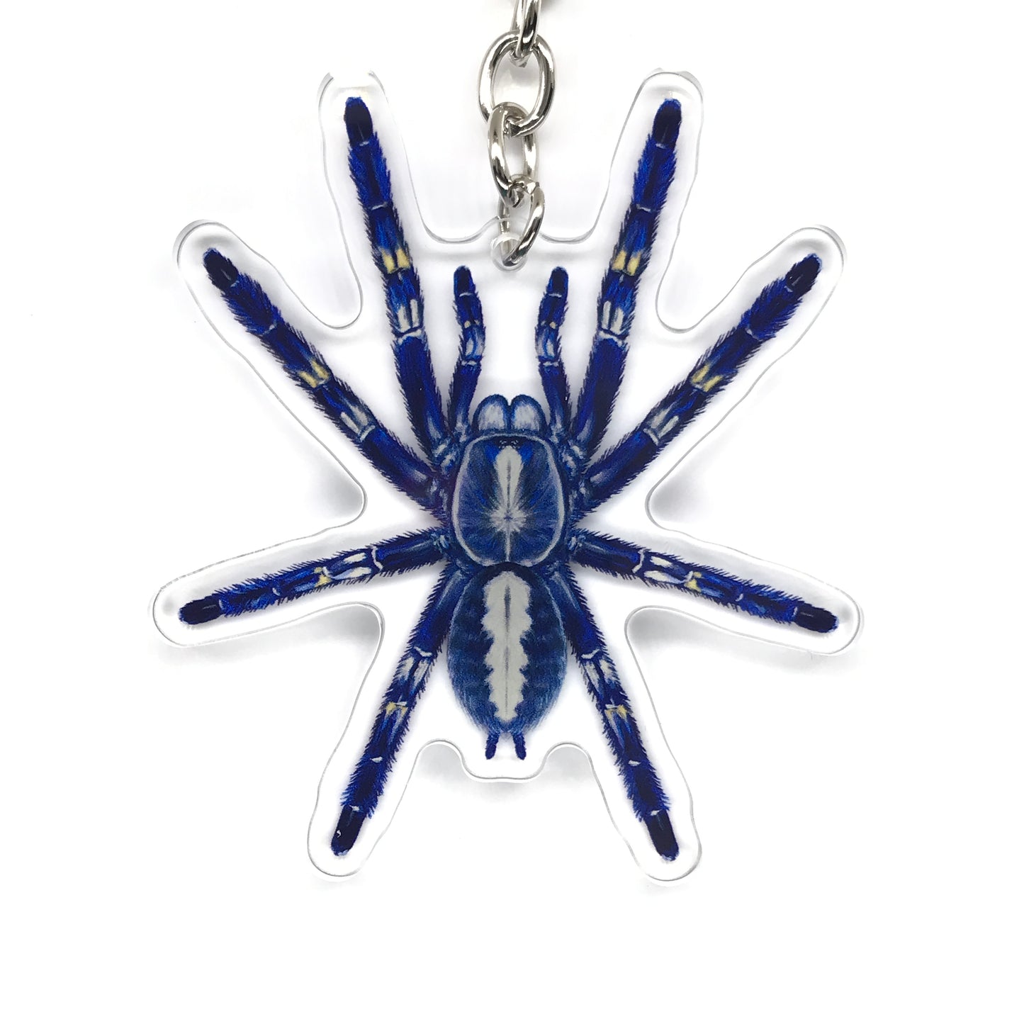 Gooty Sapphire Ornamental Tarantula, Poecilotheria Metallica Acrylic Keychain