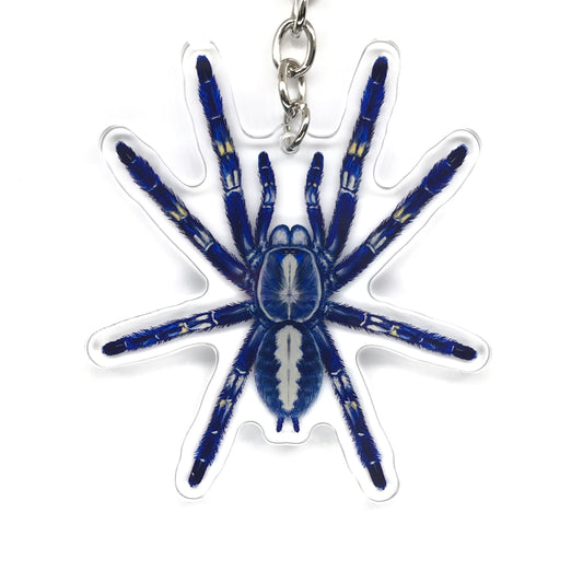Gooty Sapphire Ornamental Tarantula, Poecilotheria Metallica Acrylic Keychain