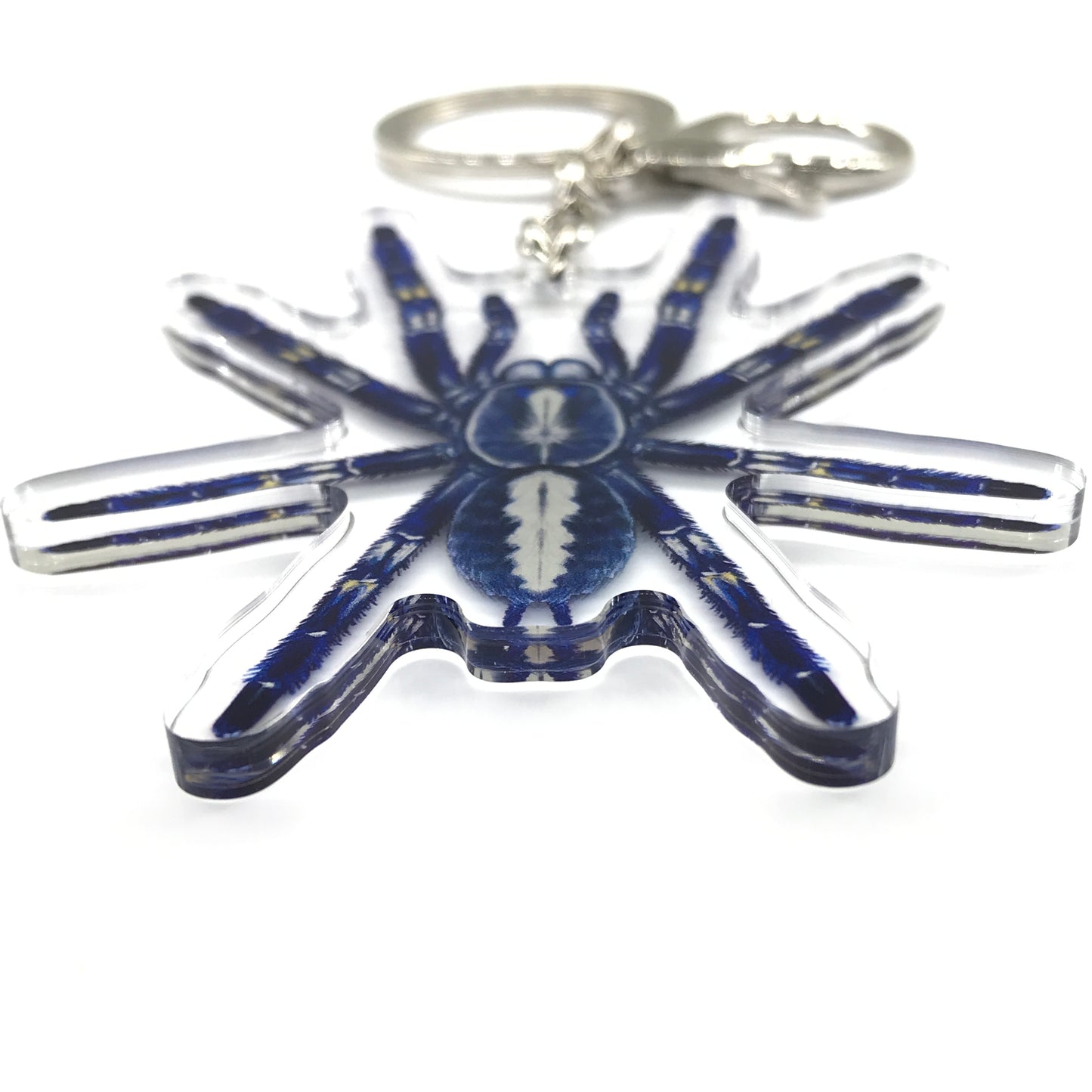 Gooty Sapphire Ornamental Tarantula, Poecilotheria Metallica Acrylic Keychain