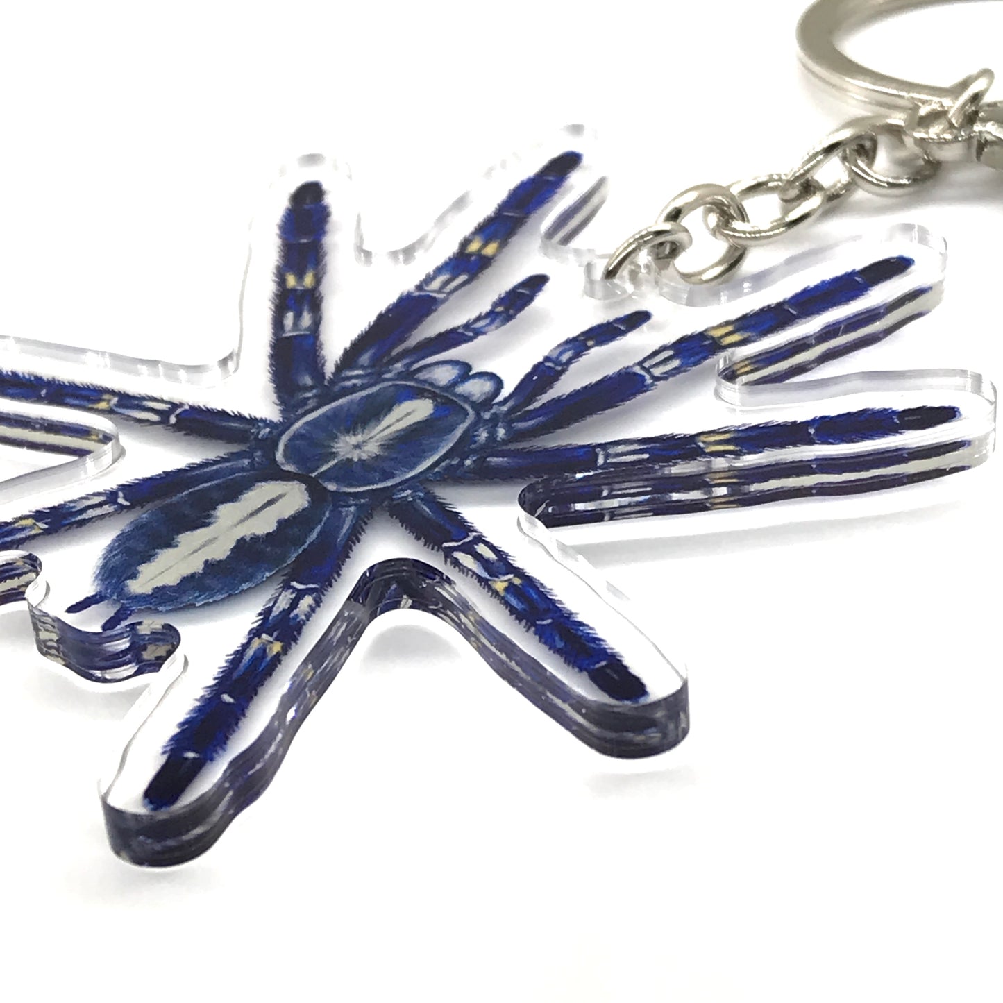 Gooty Sapphire Ornamental Tarantula, Poecilotheria Metallica Acrylic Keychain