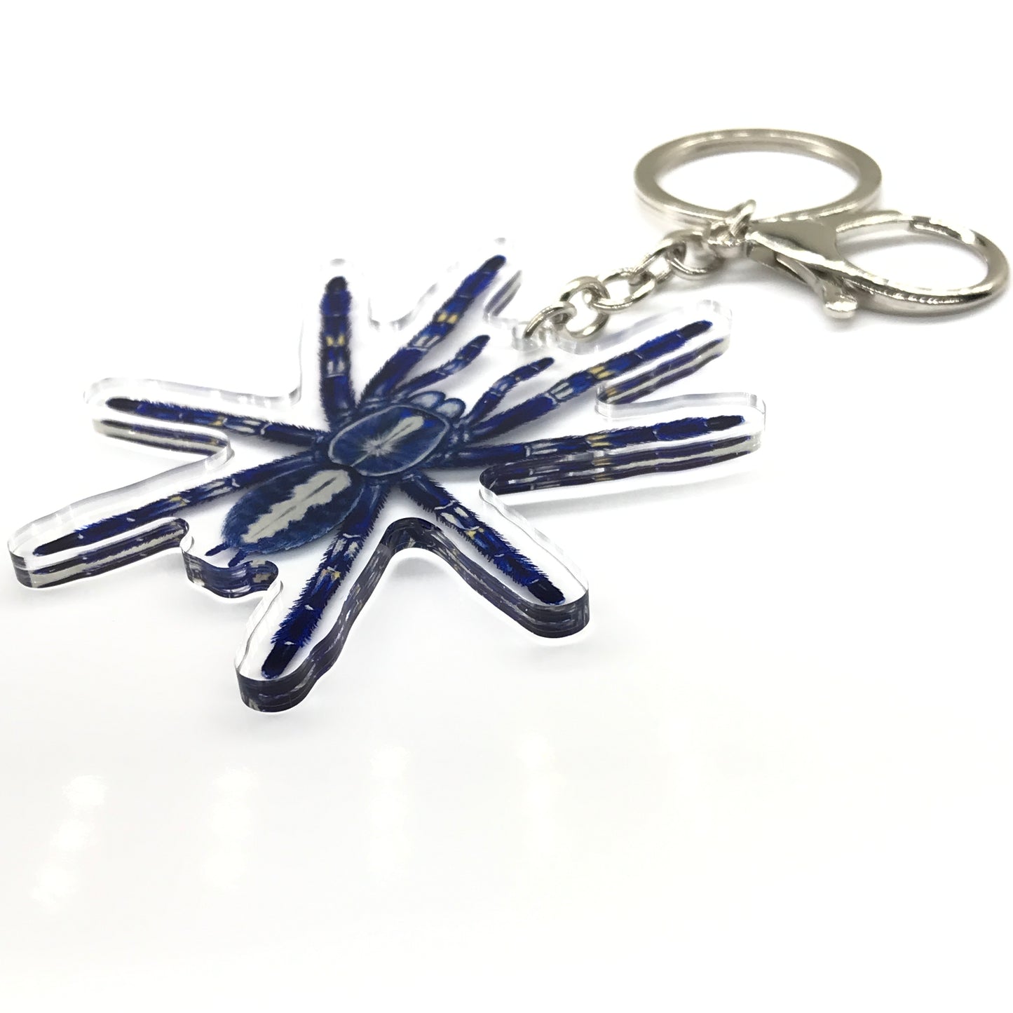 Gooty Sapphire Ornamental Tarantula, Poecilotheria Metallica Acrylic Keychain