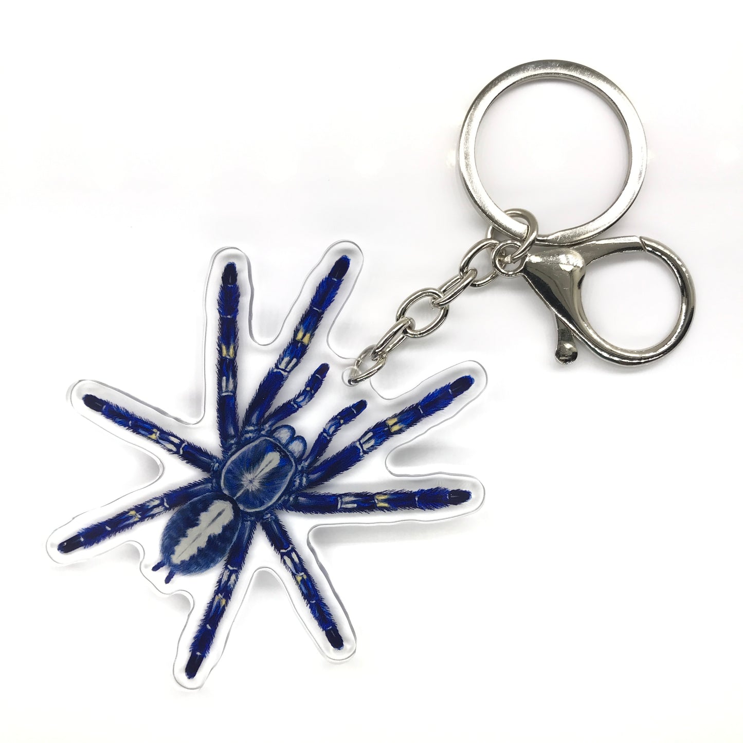 Gooty Sapphire Ornamental Tarantula, Poecilotheria Metallica Acrylic Keychain