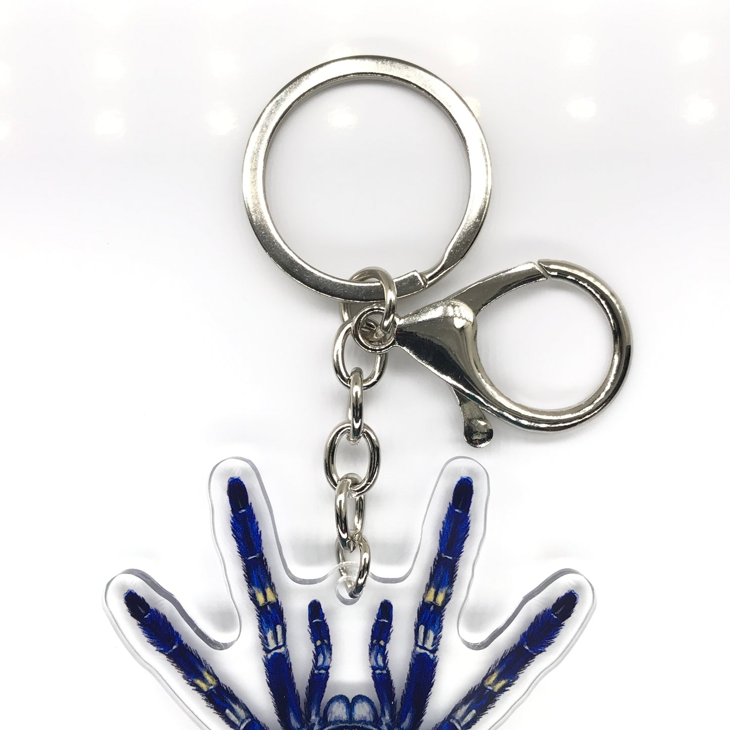 Gooty Sapphire Ornamental Tarantula, Poecilotheria Metallica Acrylic Keychain