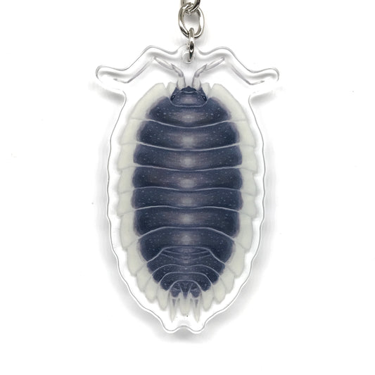 Greek Shield Isopod, Porcellio Werneri Acrylic Keychain