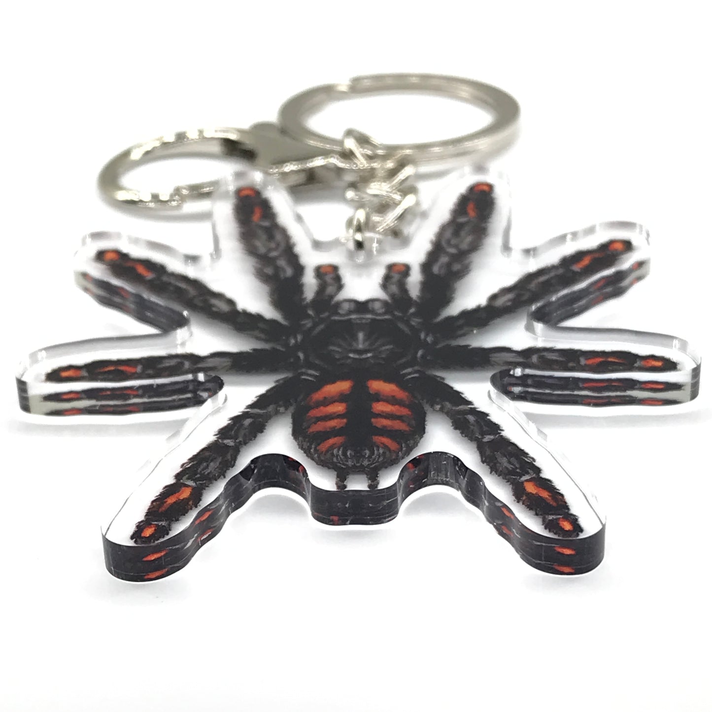 Venezuelan Suntiger Tarantula, Psalmopoeus Irminia Acrylic Keychain