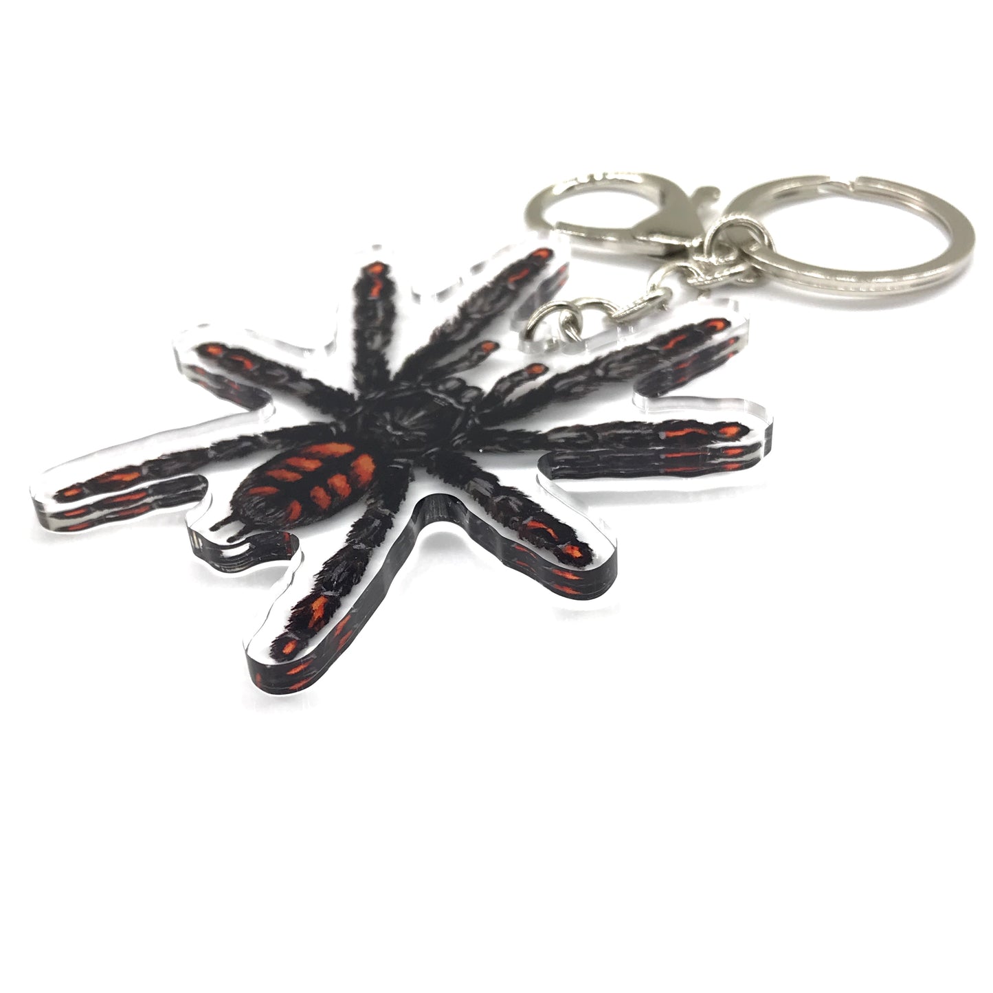 Venezuelan Suntiger Tarantula, Psalmopoeus Irminia Acrylic Keychain