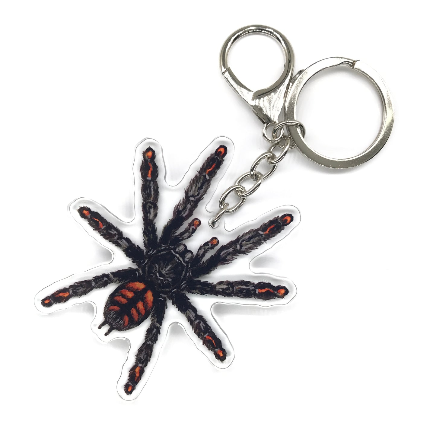 Venezuelan Suntiger Tarantula, Psalmopoeus Irminia Acrylic Keychain