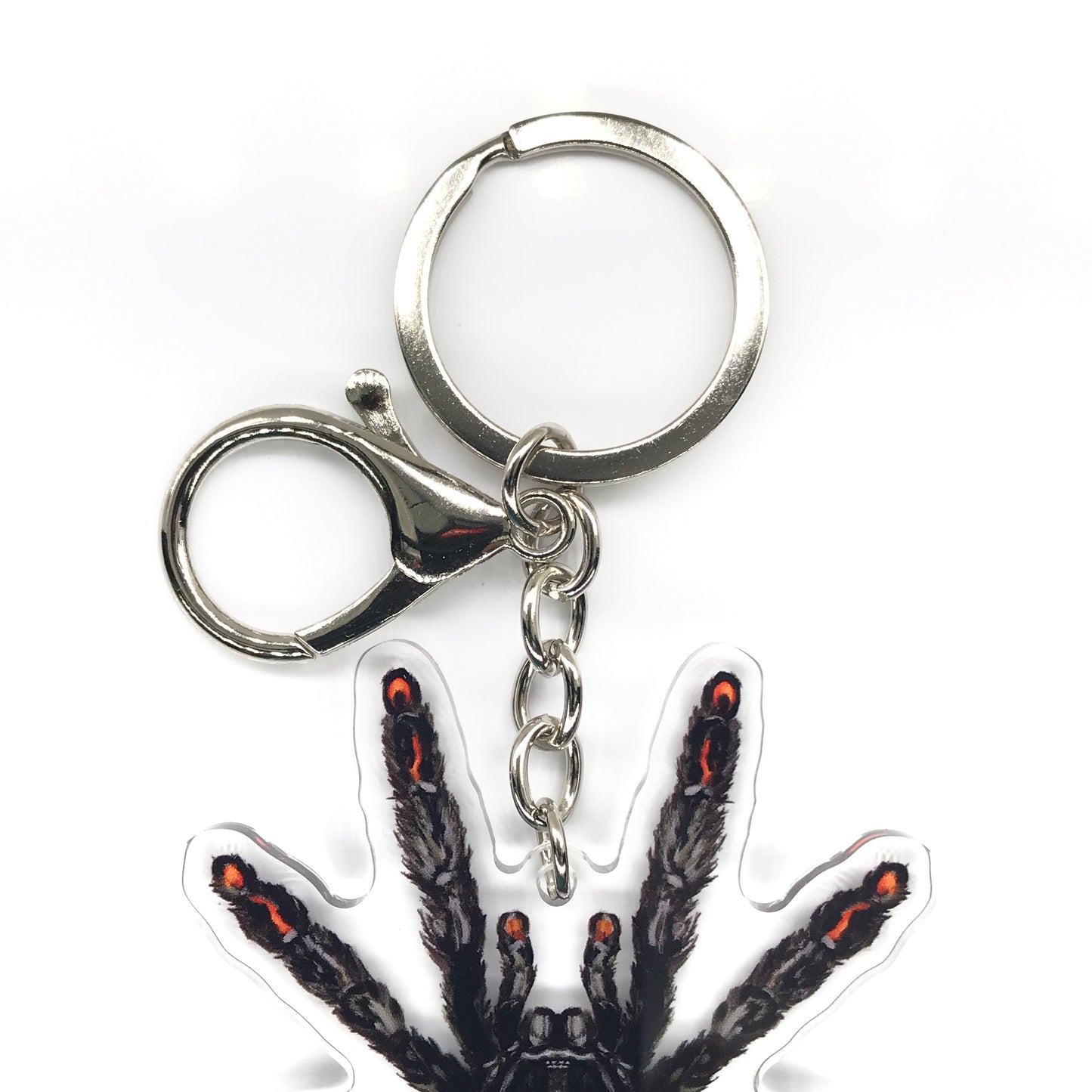 Venezuelan Suntiger Tarantula, Psalmopoeus Irminia Acrylic Keychain