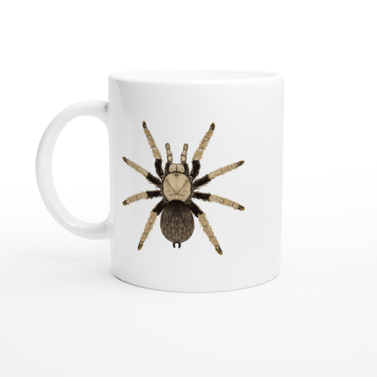 Arizona Blonde Tarantula, Aphonopelma Chalcodes, Ceramic Graphic Mug