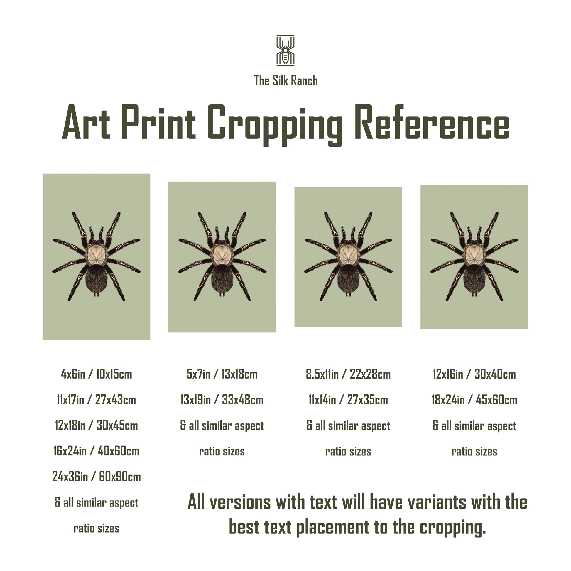 Neon Blue Leg Tarantula, Birupes Simoroxigorum, Photographic Art Print from The Silk Ranch