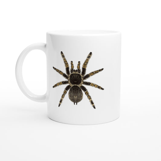 Chaco Golden Knee Tarantula, Grammostola Pulchripes, Ceramic Graphic Mug