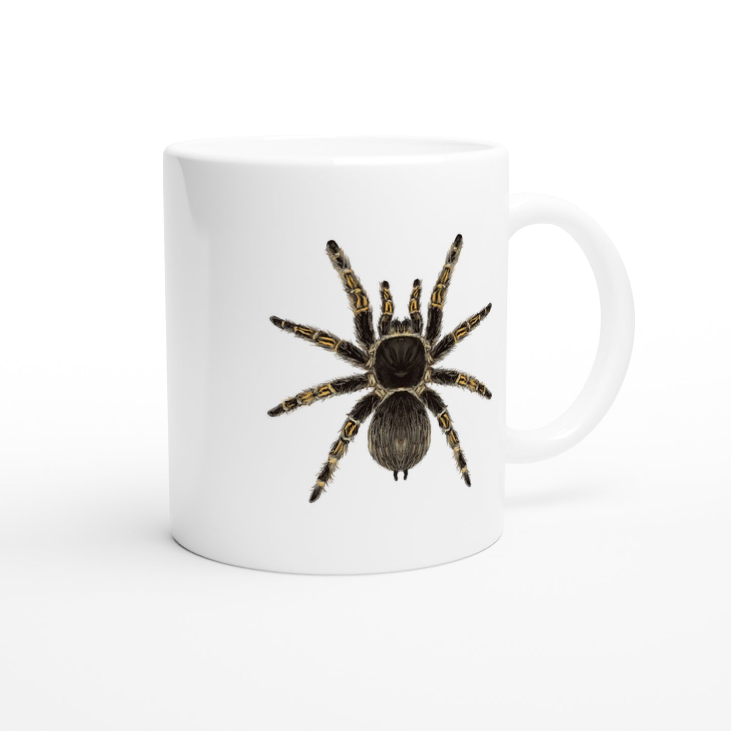 Chaco Golden Knee Tarantula, Grammostola Pulchripes, Ceramic Graphic Mug