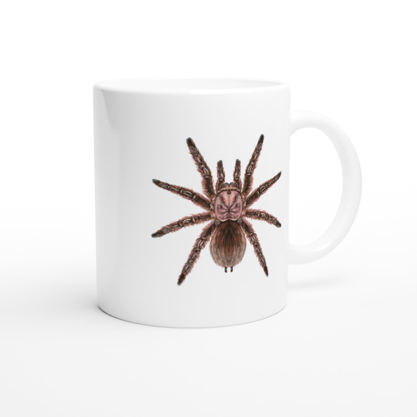 Chilean Rose Hair Tarantula, Grammostola Rosea, Ceramic Graphic Mug