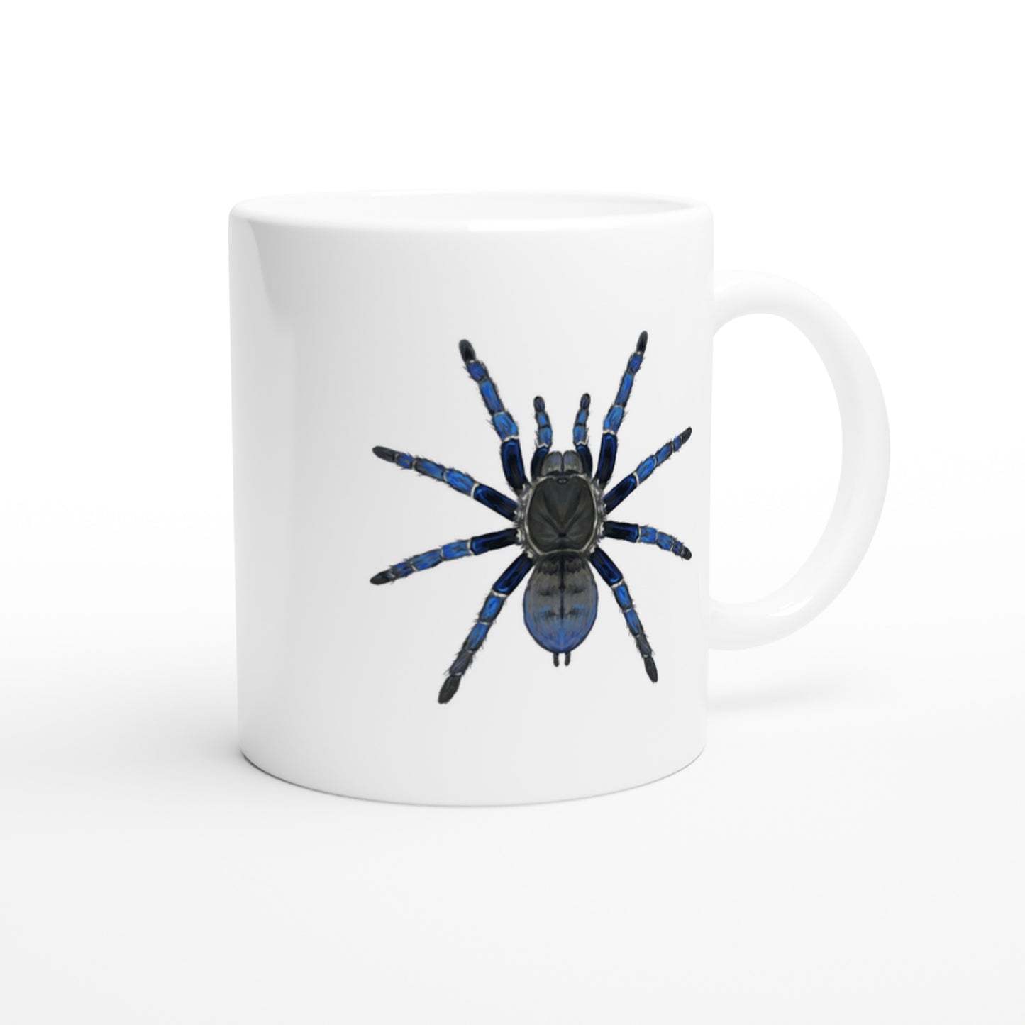 Cobalt Blue Tarantula, Cyriopagopus Lividus, Ceramic Graphic Mug