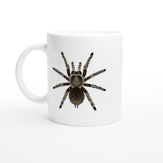 Curly Hair Tarantula, Tliltocatl Albopilosus, Ceramic Graphic Mug