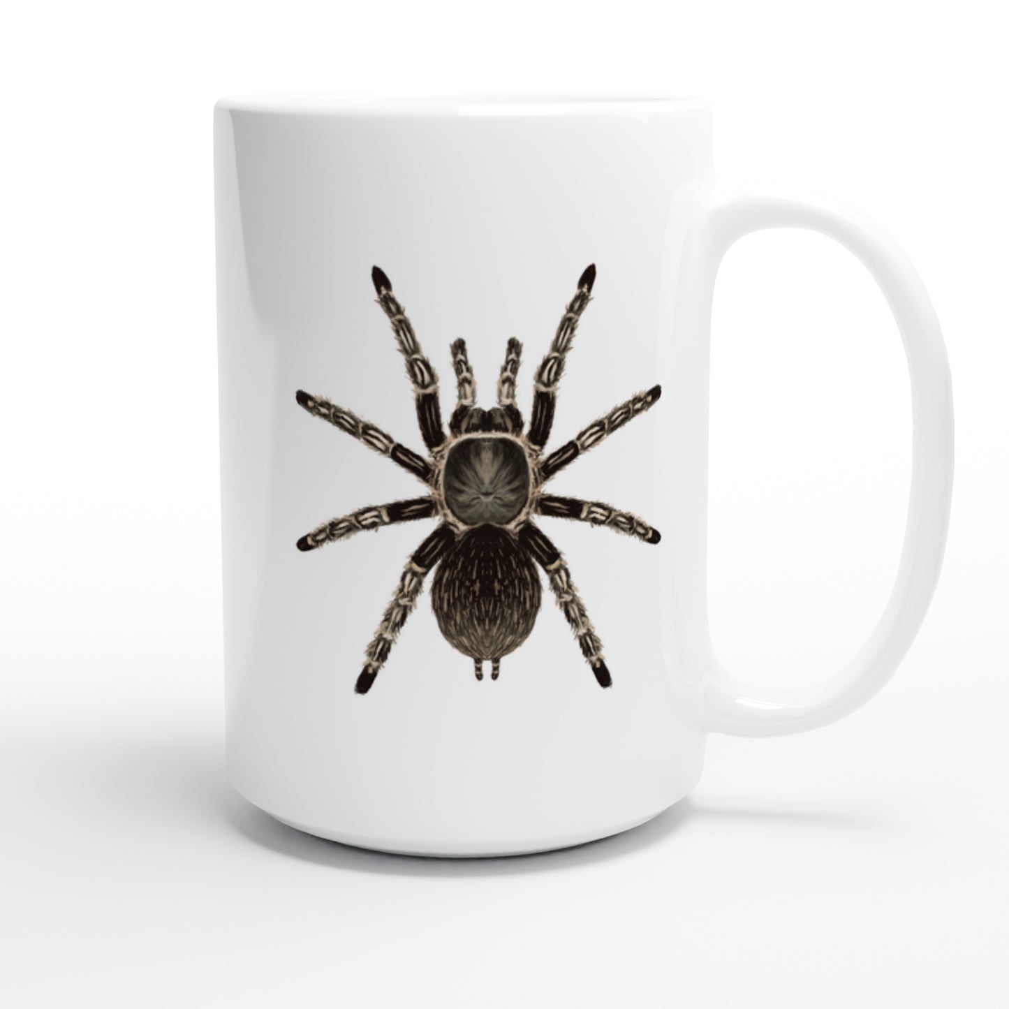 Costa Rican Striped-knee Tarantula, Aphonopelma Seemanni, Ceramic Graphic Mug