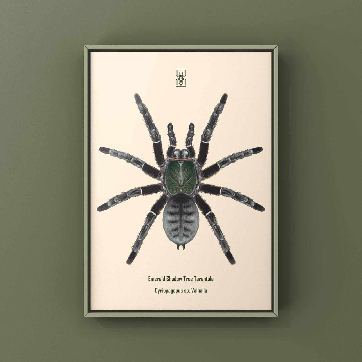 Emerald Shadow Tree Tarantula, Cyriopagopus Sp Valhalla, Photographic Art Print