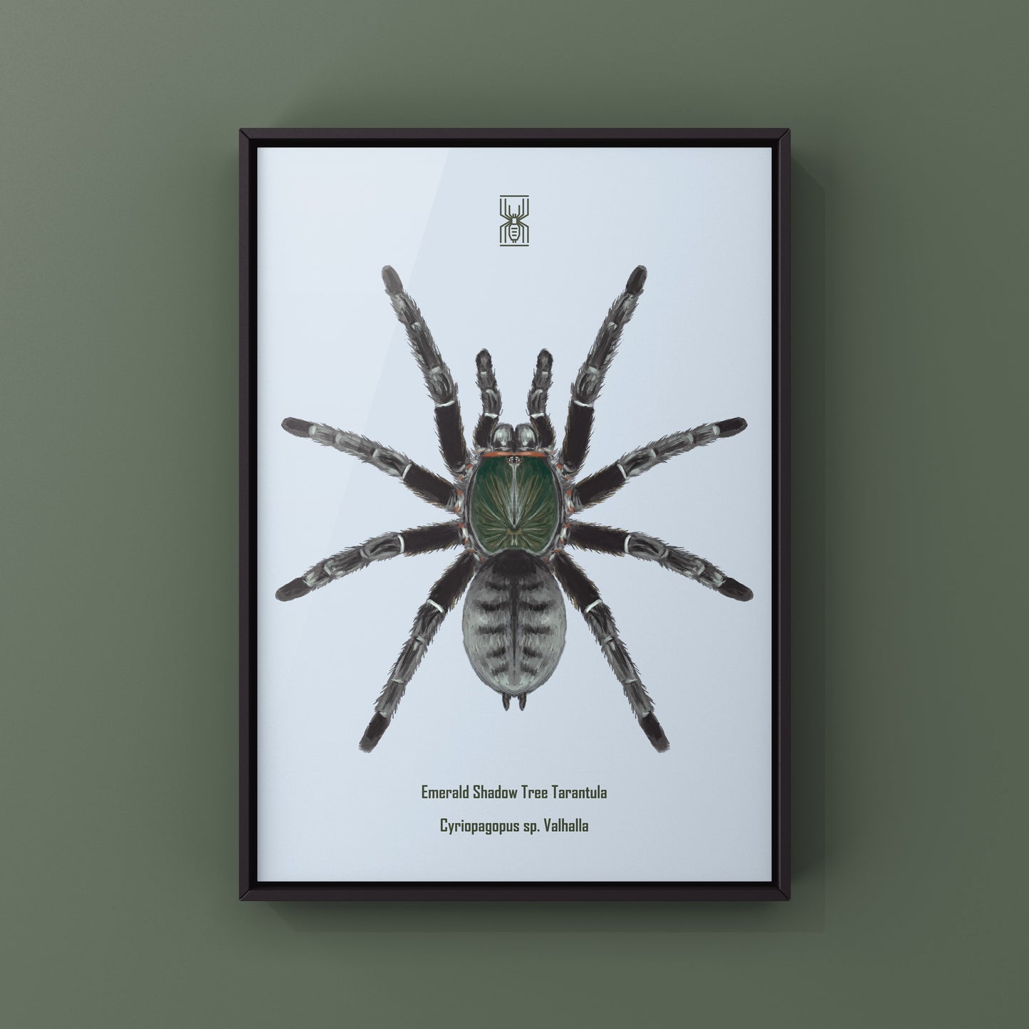 Emerald Shadow Tree Tarantula, Cyriopagopus Sp Valhalla, Photographic Art Print