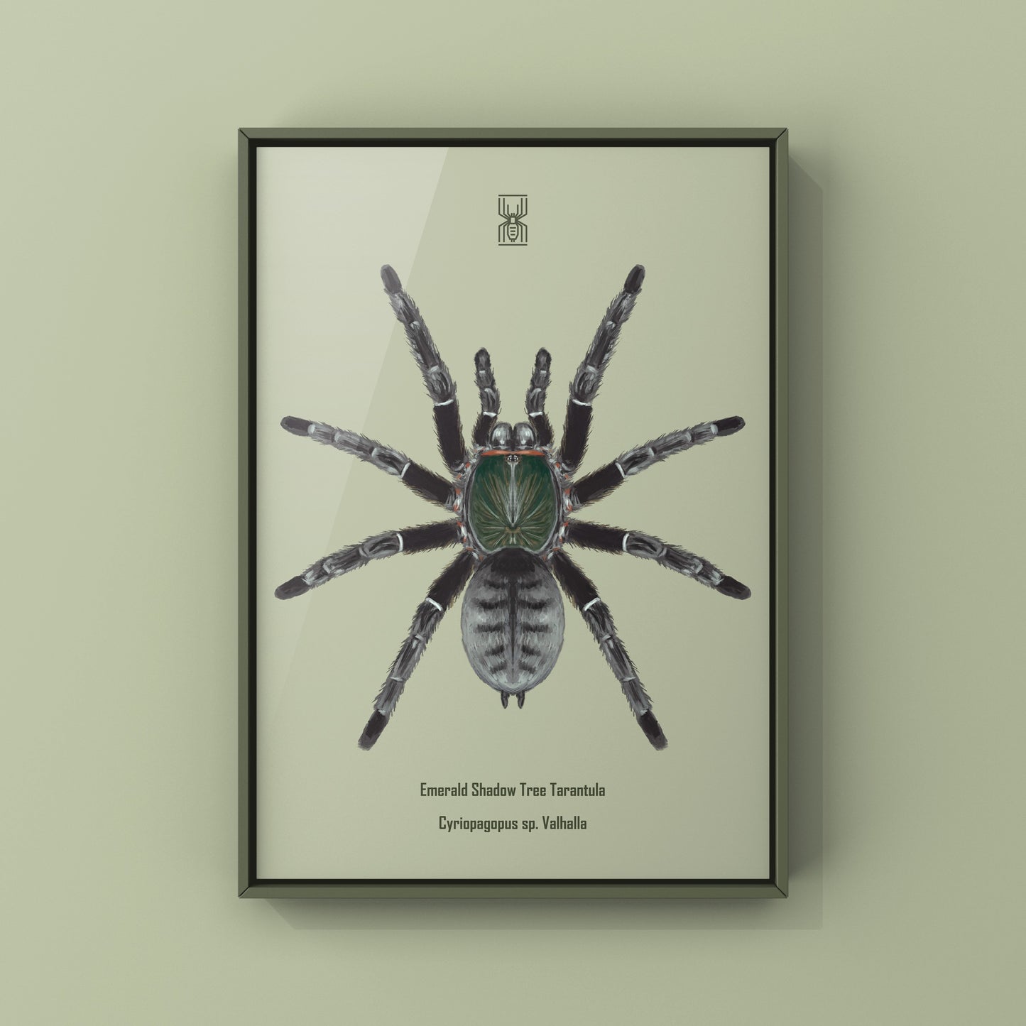 Emerald Shadow Tree Tarantula, Cyriopagopus Sp Valhalla, Photographic Art Print