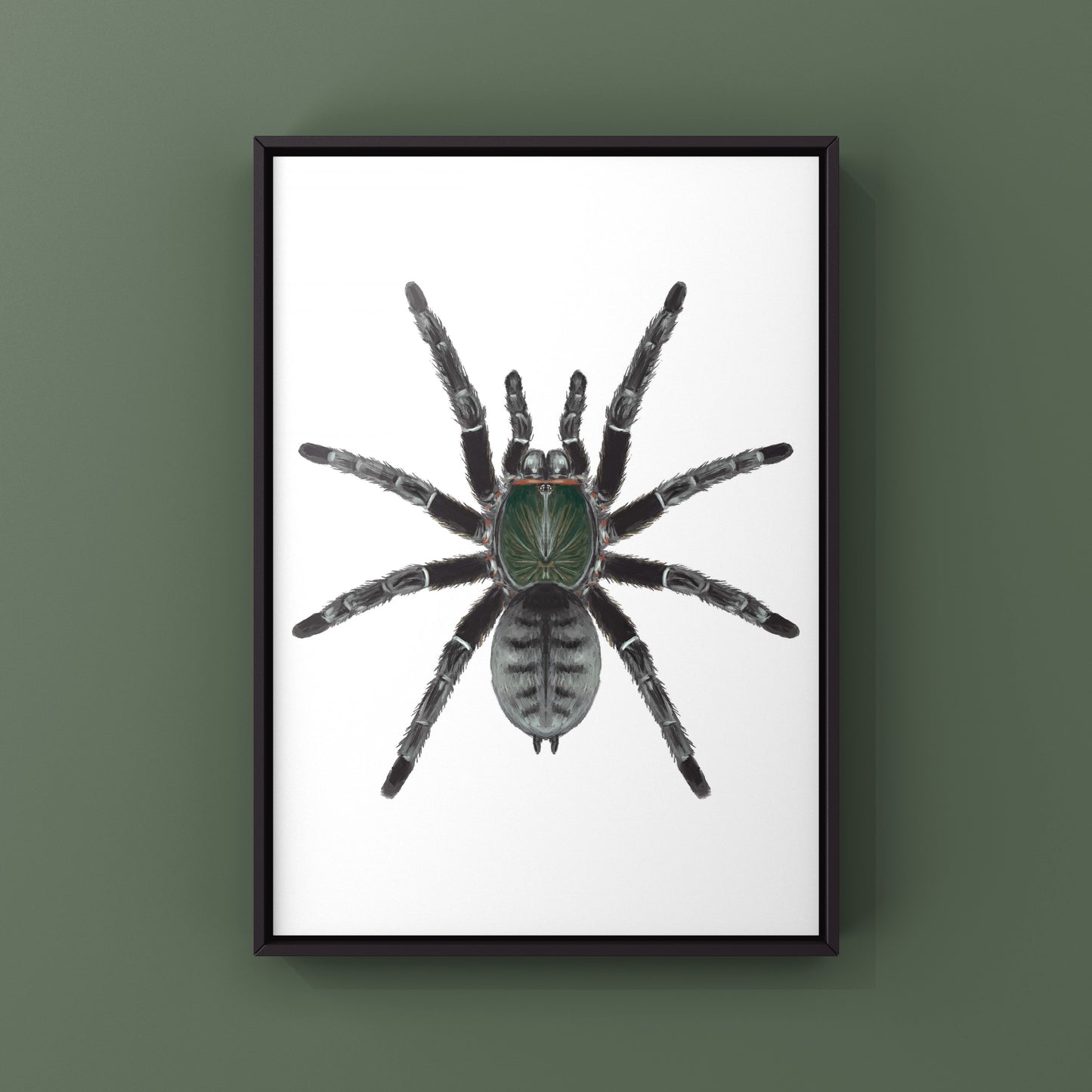 Emerald Shadow Tree Tarantula, Cyriopagopus Sp Valhalla, Photographic Art Print