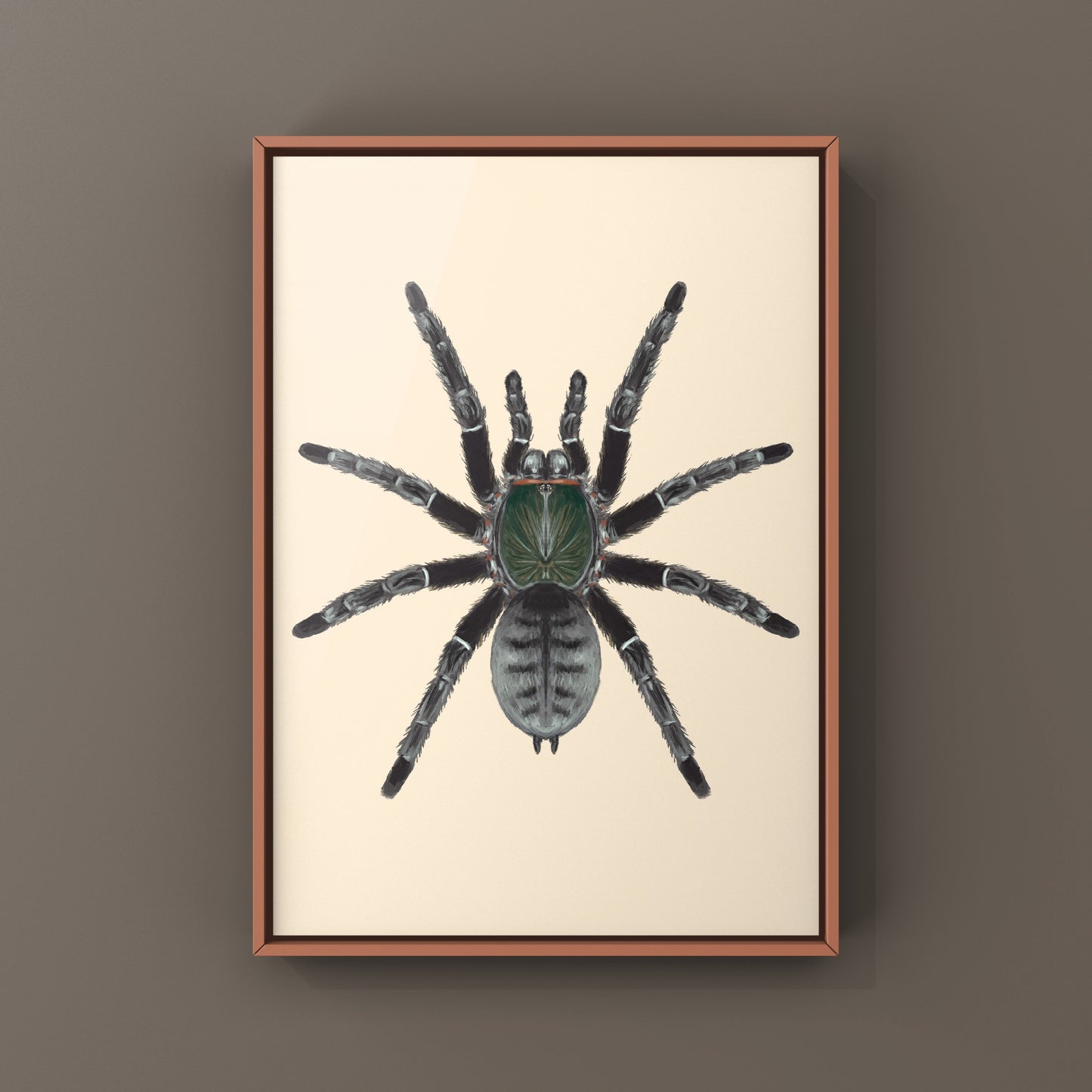 Emerald Shadow Tree Tarantula, Cyriopagopus Sp Valhalla, Photographic Art Print