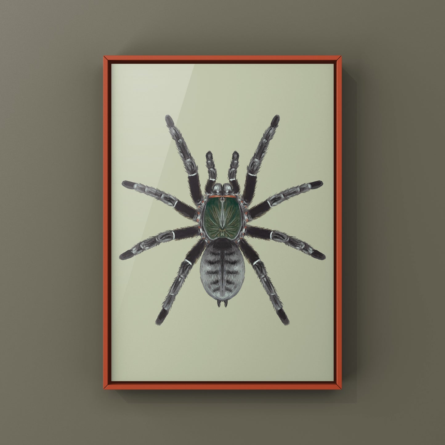 Emerald Shadow Tree Tarantula, Cyriopagopus Sp Valhalla, Photographic Art Print