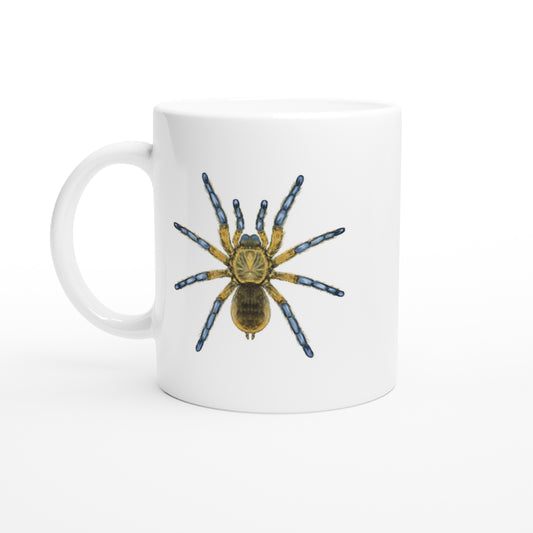Golden Blue Leg Baboon Tarantula, Harpactira Pulchripes, Ceramic Graphic Mug