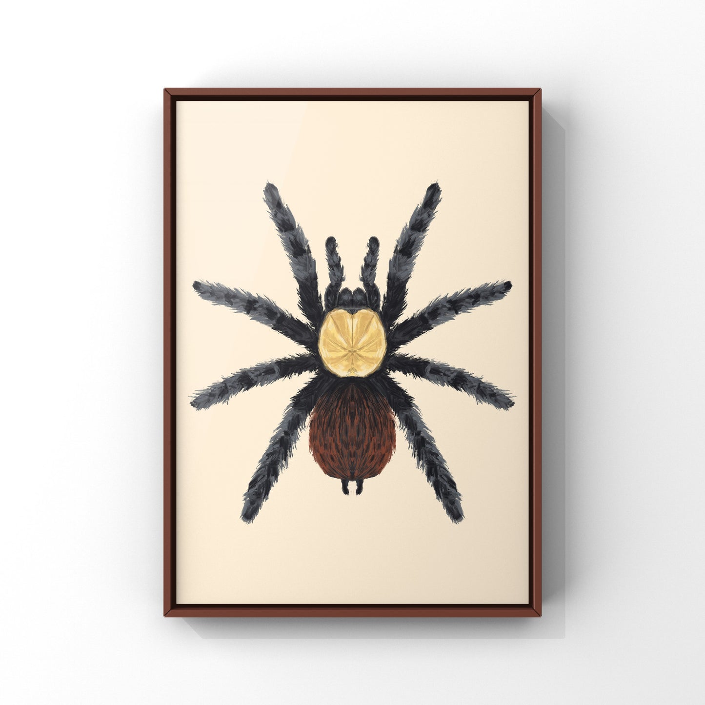 Golden Red Rump Tarantula, Brachypelma Albiceps, Photographic Art Print