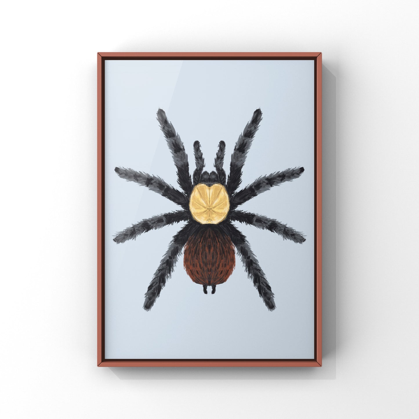 Golden Red Rump Tarantula, Brachypelma Albiceps, Photographic Art Print