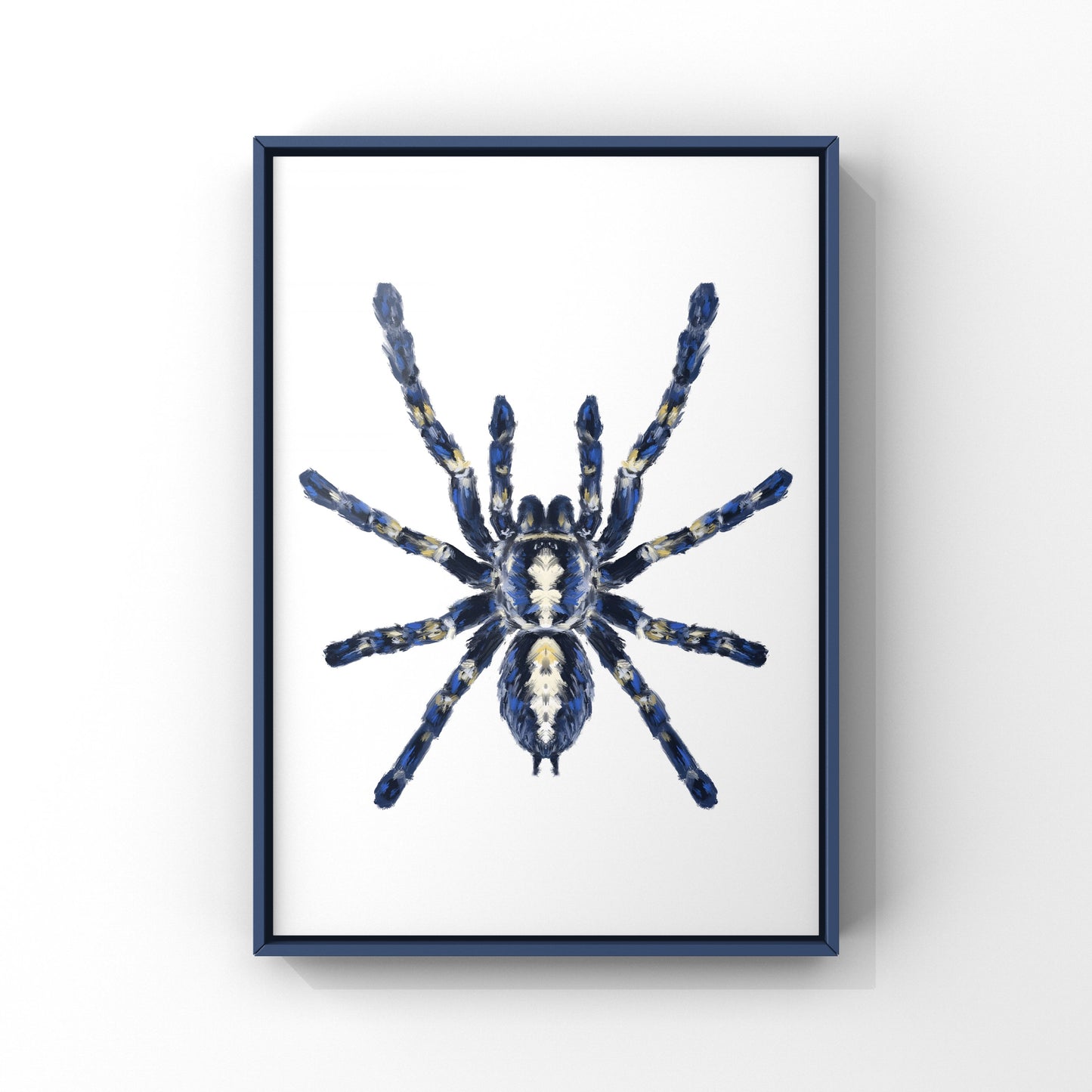 Gooty Sapphire Tarantula, Poecilotheria Metallica, Photographic Art Print