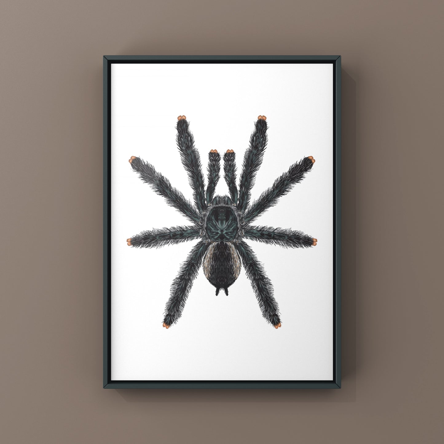 Guyana Pinktoe Tarantula, Avicularia Avicularia, Photographic Art Print