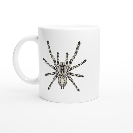 Indian Ornamental Tarantula, Poecilotheria Regalis, Ceramic Graphic Mug