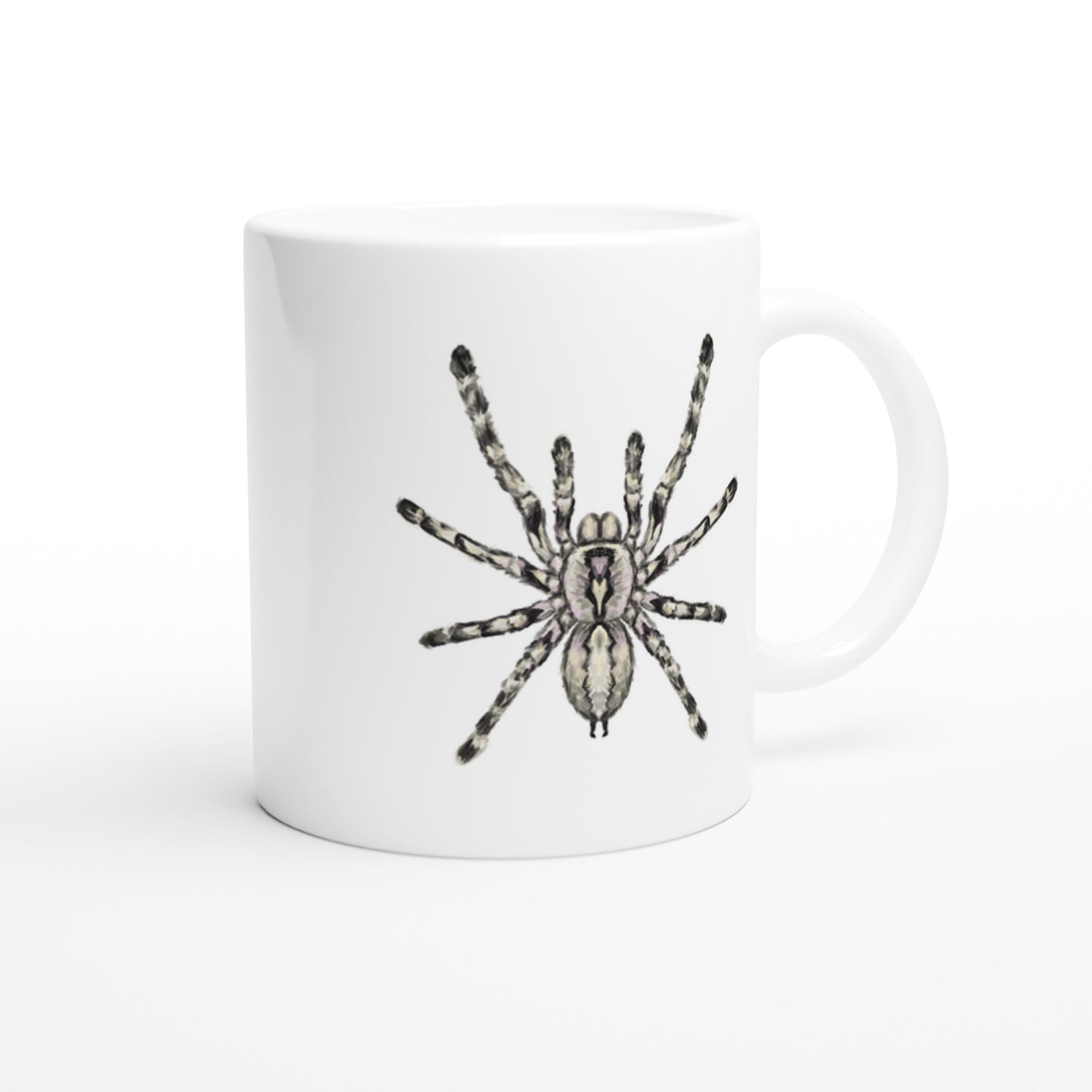 Indian Ornamental Tarantula, Poecilotheria Regalis, Ceramic Graphic Mug