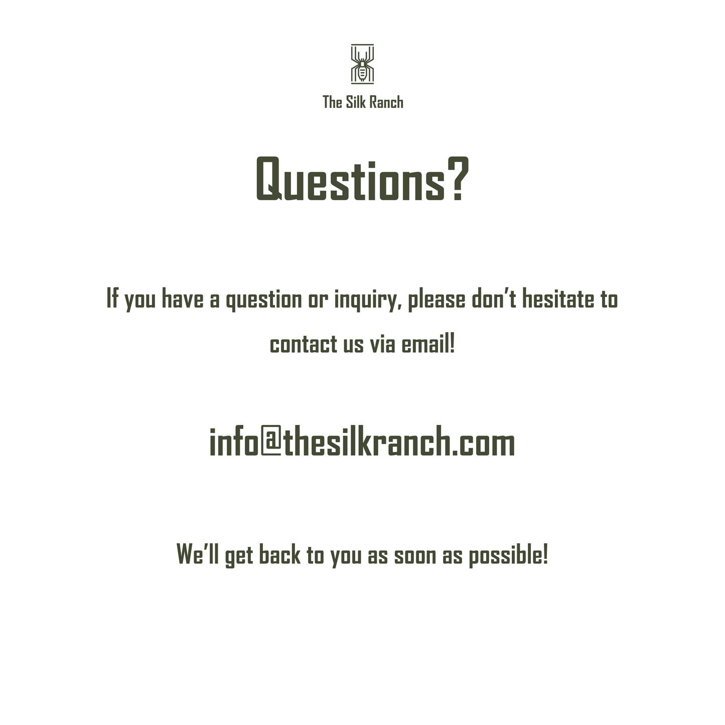 Ghost Mantis Sticker, Phyllocrania Paradoxa Waterproof Vinyl Sticker