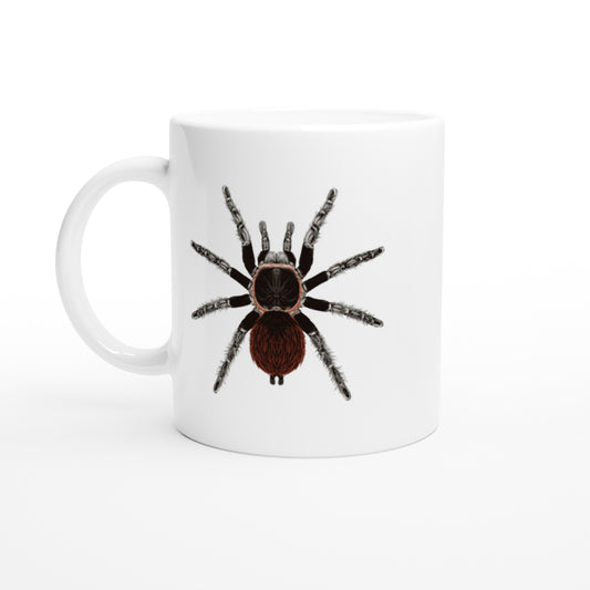 Mexican Red Rump Tarantula, Tliltocatl Vagans, Ceramic Graphic Mug