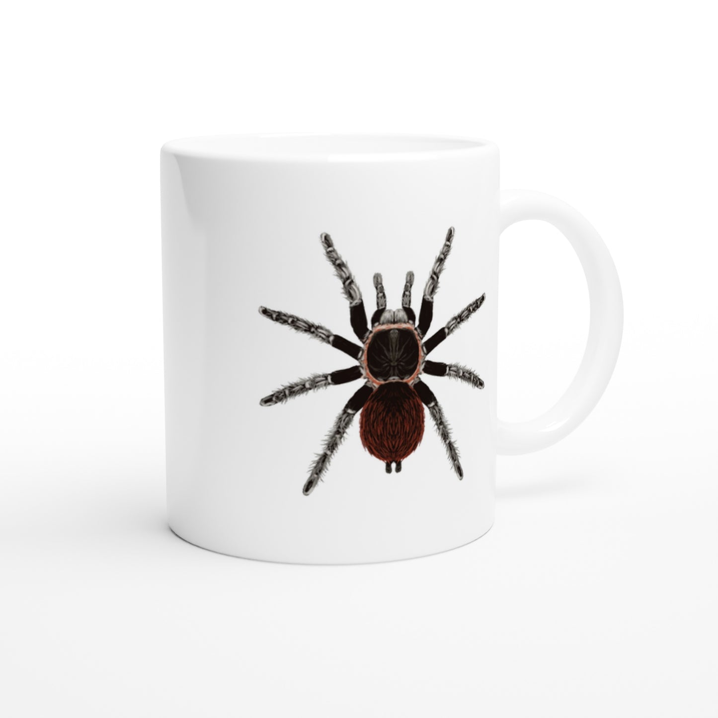 Mexican Red Rump Tarantula, Tliltocatl Vagans, Ceramic Graphic Mug