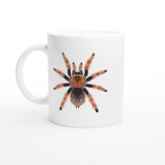 Mexican Fire Leg Tarantula, Brachypelma Boehmei, Ceramic Graphic Mug