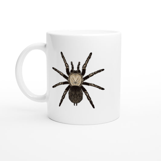 Skeleton Tarantula, Ephebopus Murinus, Ceramic Graphic Mug