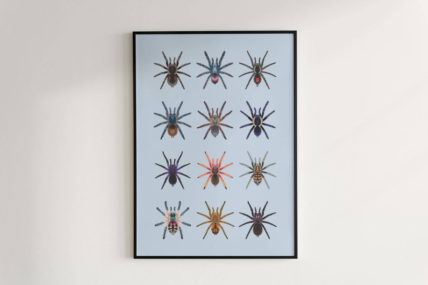Tarantula Collection: Series V Poster