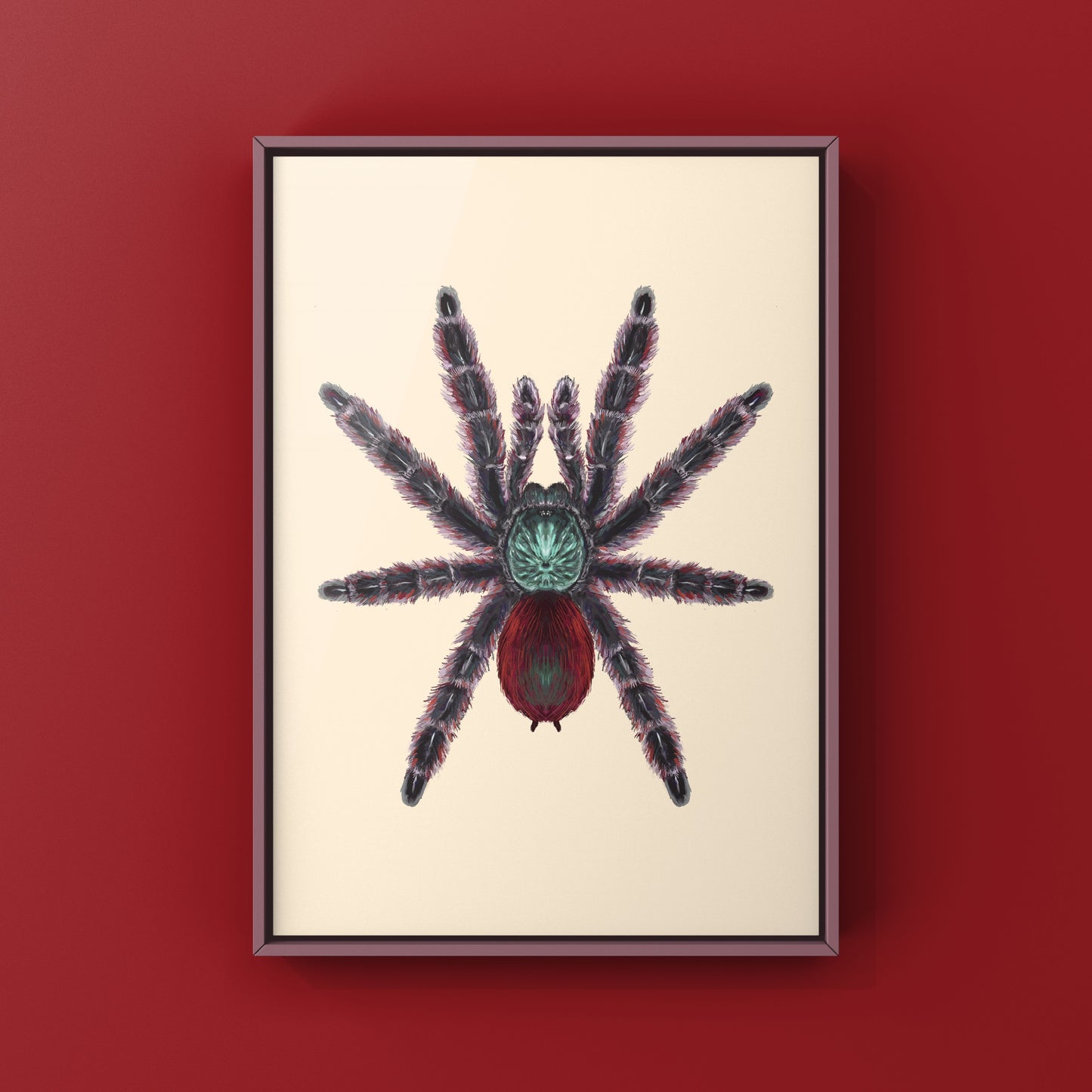 Antilles Pinktoe Tarantula, Caribena Versicolor, Photographic Art Print