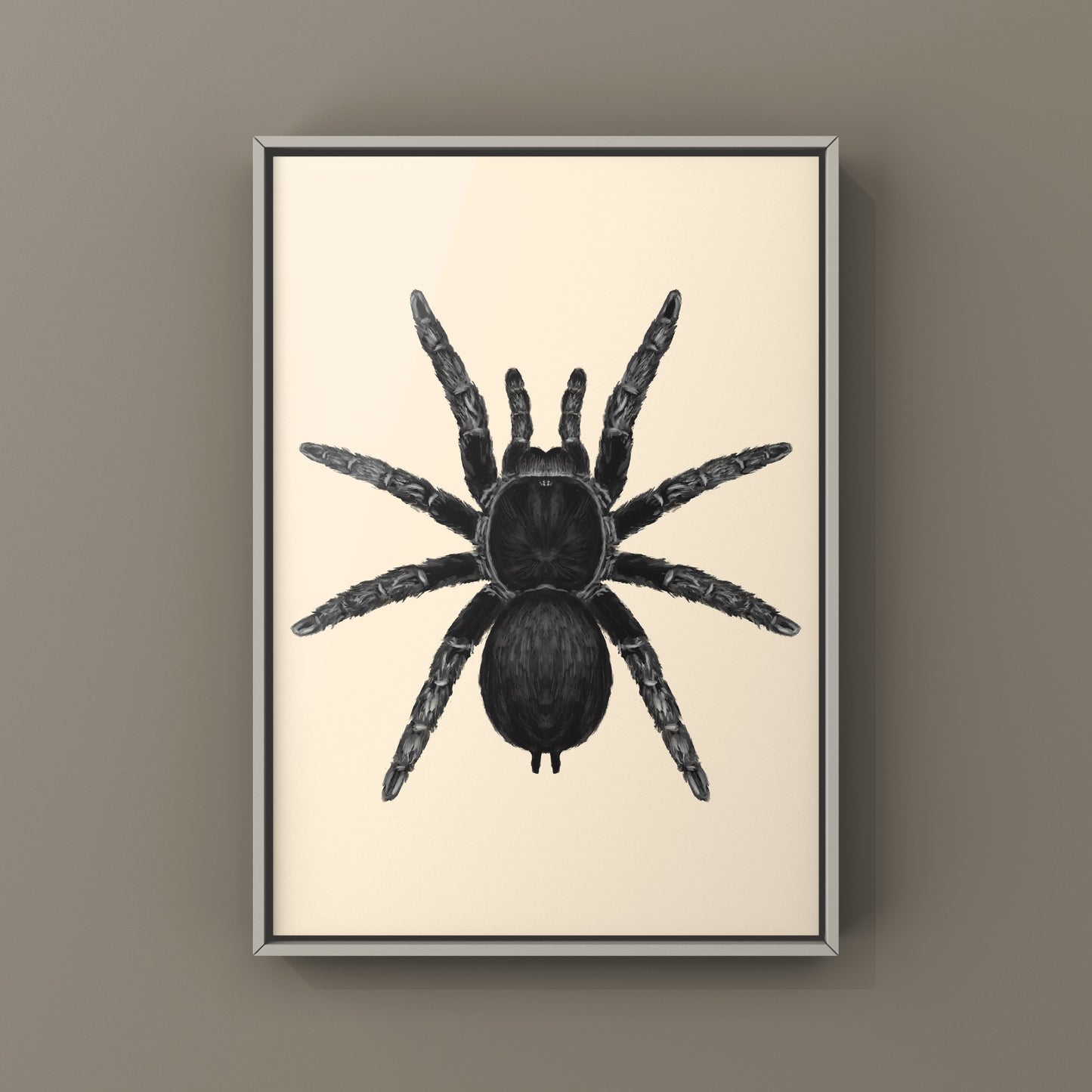 Brazilian Black Tarantula, Grammostola Pulchra, Photographic Art Print